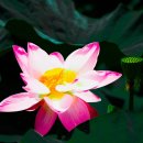 양산호수공원 이미지