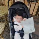 브라운에비뉴 네이버블로그