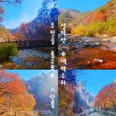 사나사(중간,약수터 앞) | 현황 계곡 따라 트레킹 가벼운 등산 코스 오색약수터에서 주전골 용소폭포까지 총 소요시간 주차장 주차팁