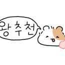 디유팔