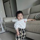 몽켓 네이버블로그
