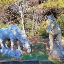 울산테마식물수목원 Daum카페