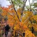 어머니의 마음 | 봉정암 등반후기/어머니의 마음으로 오른 봉정암, 가족의안위를 기원하며