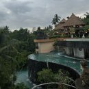 더정글 | 발리 우붓 숙소 추천 더 카욘 정글 리조트 내돈내산 솔직 후기