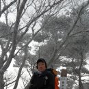 달서송림 이미지