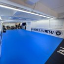 본  주짓수 유도 이미지