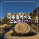 바다여행 노래연습장 | [제주/함덕] 제주 동쪽 함덕해수욕장 숙소 소노벨 스위트 숙박 후기
