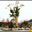 서문안