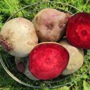 현선농장 이미지