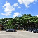 흥덕왕릉 화장실 이미지