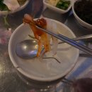 1004횟집 | 논산 회식,데이트 맛집 추천,논산 횟집 꺼꾸잽이 초장집 논산취암점 솔직 후기