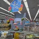 188 | 다이소 봄 신상 2026
