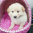 산내로 이미지