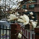 봉곡평생교육센터 이미지