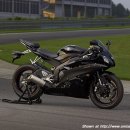 R6 이미지
