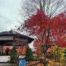 구의공원 옆(동절기 11월 1일 ~ 4월30일) | 도쿄 일본 후지산 여행 패키지 1일 버스투어 후기