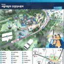 쉼마루 | [청주] 아이와 함께 가볼 만한, 제18회 세종대왕과 초정약수축제 후기