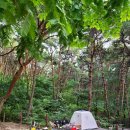 달서별빛캠프 캠핑장(오토캠핑장) 이미지