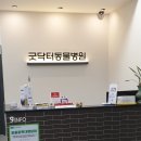 굿닥터동물병원 이미지