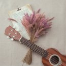 노래로 배우는 우쿨렐레 이미지