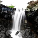 김용우 행정사 이미지