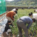 창선농장 이미지