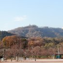 칠곡군종합운동장 테니스장 이미지