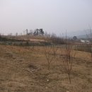 옥천 농장 이미지