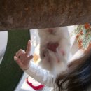 행복한 고양이 | 홍대 고양이카페 루프캣미 개냥이들과 행복한 데이트 코스 추천 후기