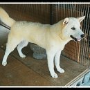 옥천한우농장 이미지