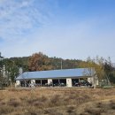 스타벅스기장임랑점 이미지