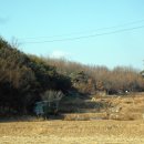 영풍두월리약사여래석불 이미지