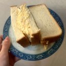 조아노래연습장 | [2월] 노는 게 제일 좋아 ~ 🐶