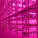 유곡농장 이미지