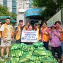 이영선농장 이미지