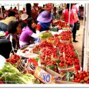 일품농장 이미지