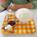 사랑손한의원 이미지