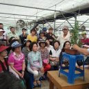 김해시농업기술센터 이미지