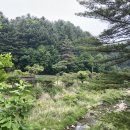 동은전기테크 | [가평] '캠프스테이 캠핑장' 개별화장실이 있는 프리미엄 오토캠핑 후기