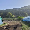 서희농장 이미지