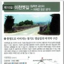 영남길 Daum카페