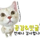 온아동물의료센터 이미지