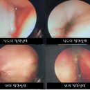 아띠 동물의료센터 이미지