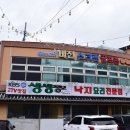 고창복의 낙지세상 이미지