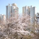 오륙도SK뷰 이미지