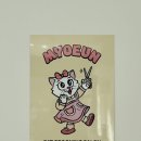 묘은 | 대전 고양이 교감 미용 전문 묘은 스트레스 없이 받는 고양이미용 디쉐이딩