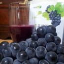 손가네 농장 이미지