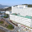 성가롤로병원 이미지