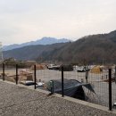 포레스트소울 | 가평 캠핑장 [포레스트 소울] 노키즈존, 애견 동반 가능 | 2026 가평군 숙박 페스타 쿠폰 적용 가능