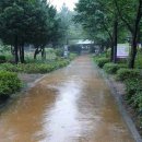 장안 근린공원 이미지